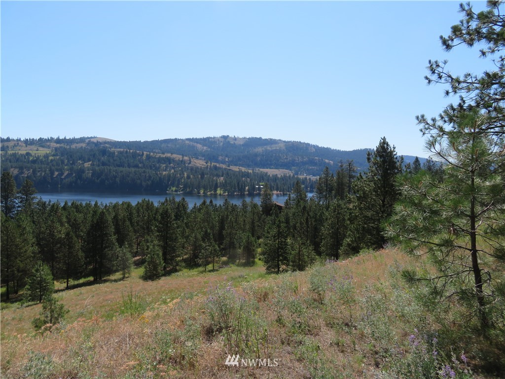 2 Sourdough Flats Road Republic, WA 99166 - Photo 5 of 15 Gallery Image 5