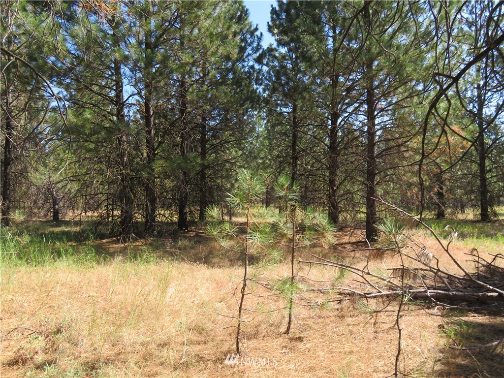 2 Sourdough Flats Road Republic, WA 99166 - Photo 7 of 15 Gallery Image 7