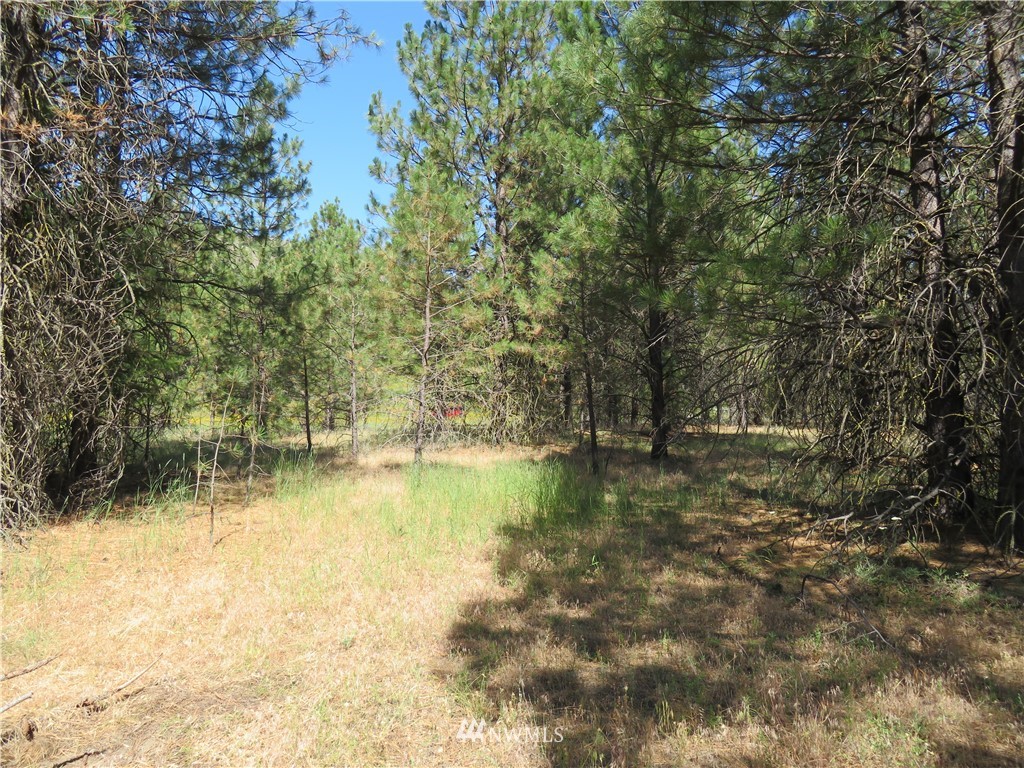 2 Sourdough Flats Road Republic, WA 99166 - Photo 9 of 15 Gallery Image 9