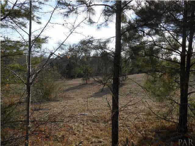 721 Wooten Road Atmore, AL 36502 - Photo 12 of 14