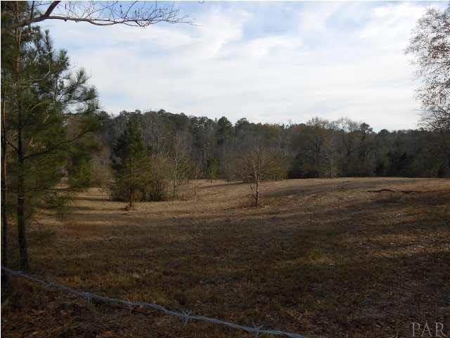 721 Wooten Road Atmore, AL 36502 - Photo 5 of 14
