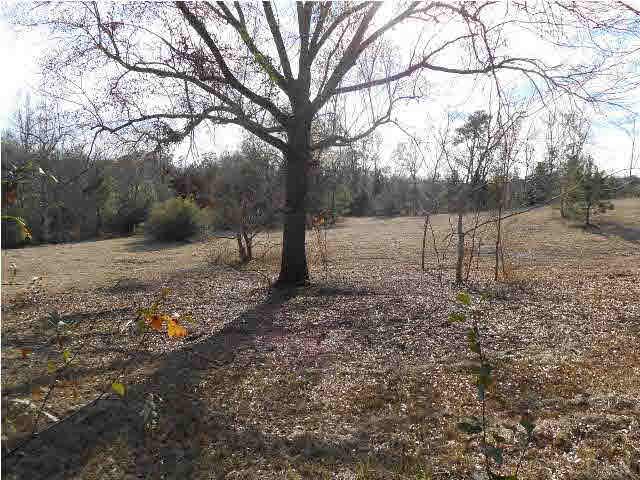 721 Wooten Road Atmore, AL 36502 - Photo 9 of 14