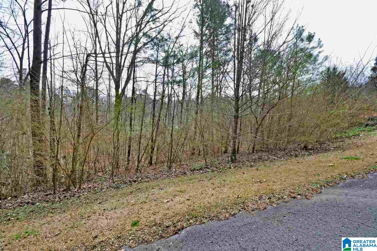 310 Quail Run Drive Cullman, AL 35057 - Photo 46 of 50