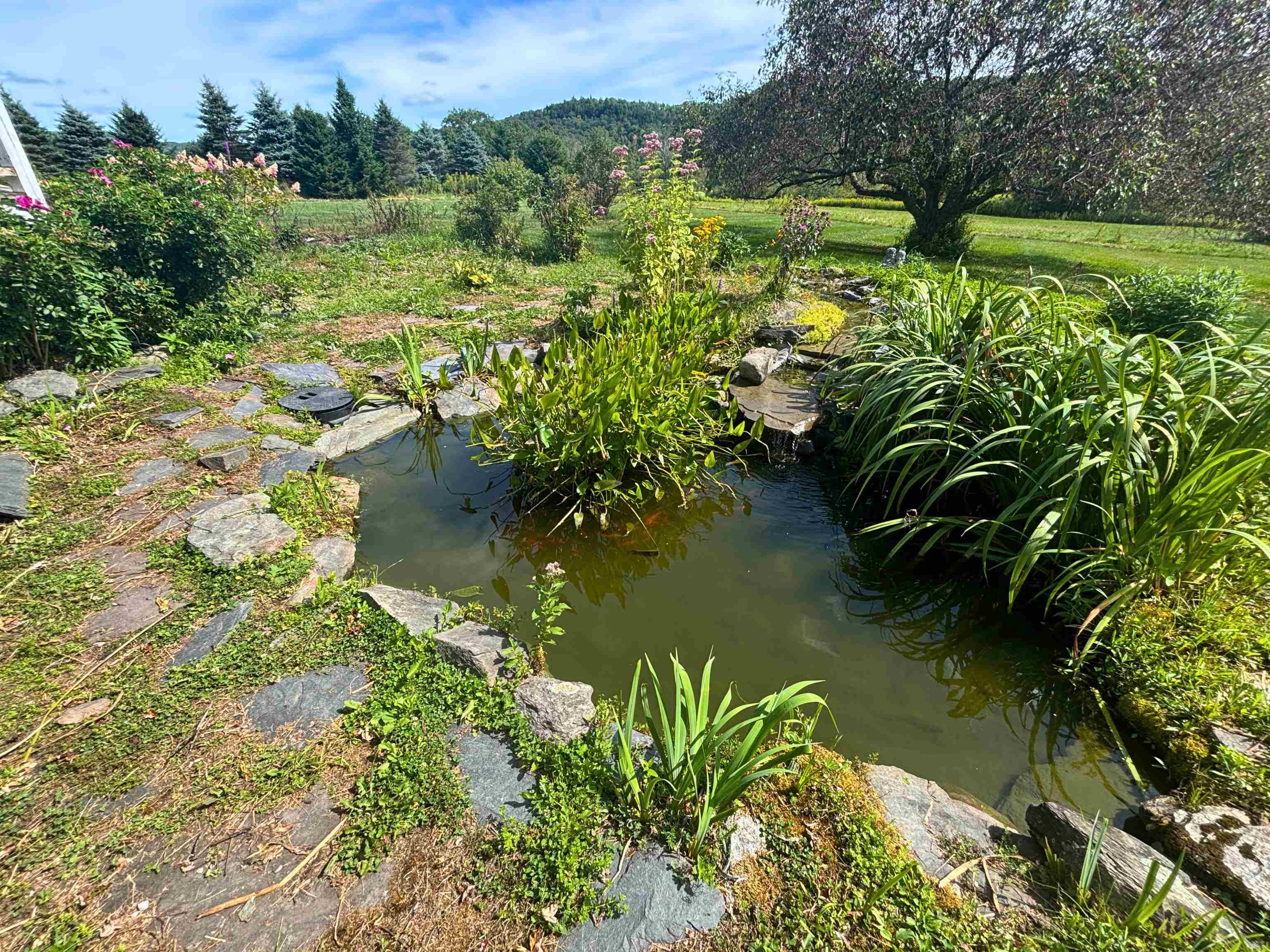 733 Buck Hollow Road Fairfax, VT 05454 - Photo 36 of 54