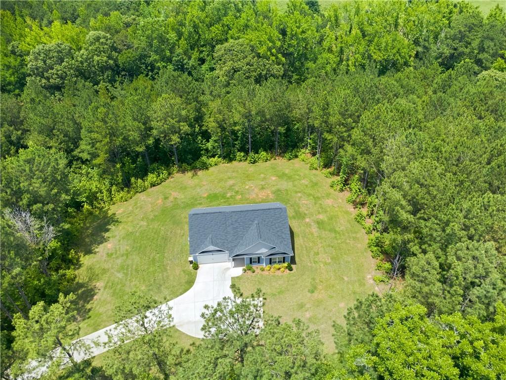 70 Gold Mine Road Grantville, GA 30220 - Photo 21 of 23 a view of a yard with trees