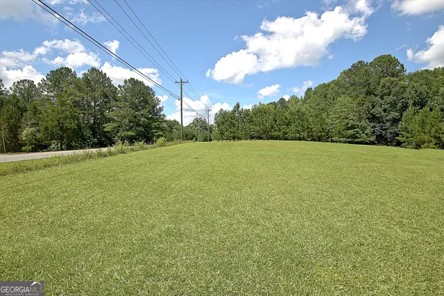 a view of a field with trees in the background