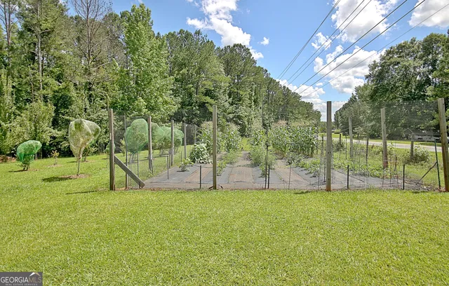 a view of a park with a tree