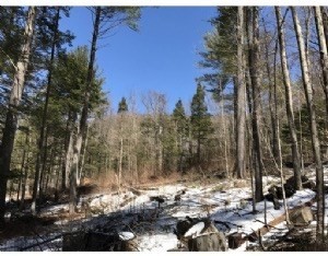 49 Old Chester Road Huntington, MA 01050 - Photo 2 of 7