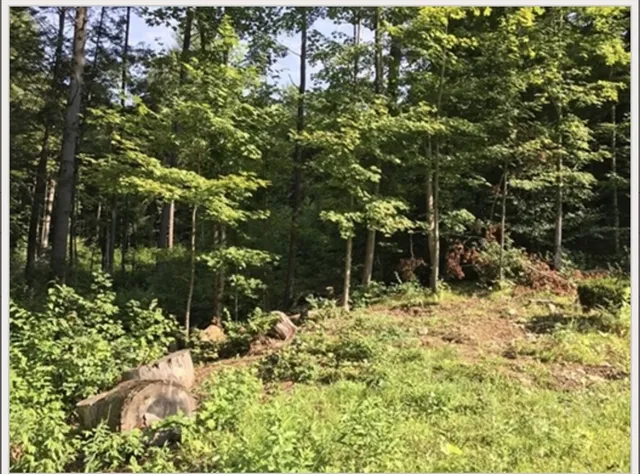 $50,000 | 49 Old Chester Road, Huntington, MA 01050