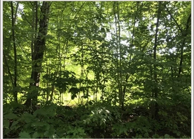 $50,000 | 49 Old Chester Road, Huntington, MA 01050