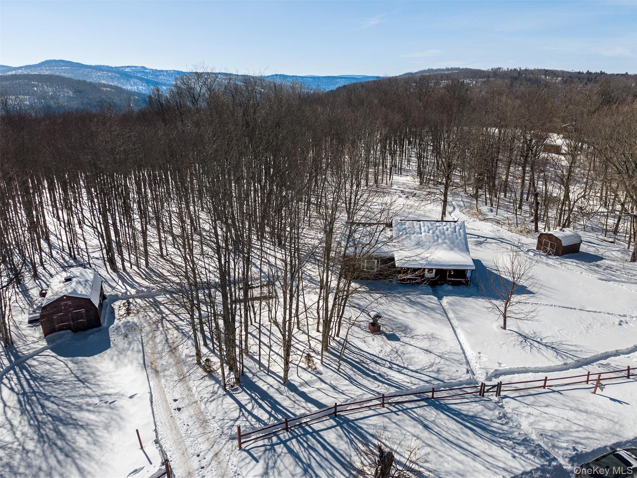 81 Mac Dougal Road Roscoe, NY 12776 - Photo 35 of 40