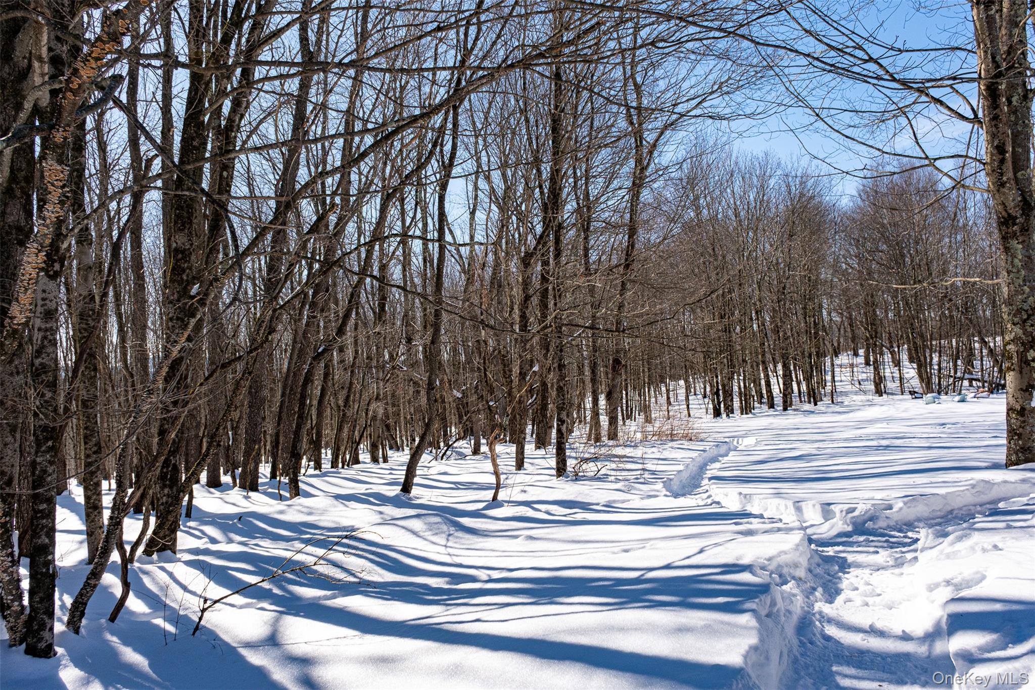 81 Mac Dougal Road Roscoe, NY 12776 - Photo 38 of 40