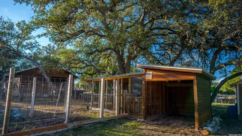 a big yard with lots of trees
