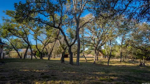 a view of a yard with plants and trees