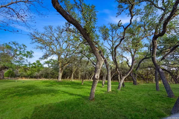 a huge green field with lots of trees