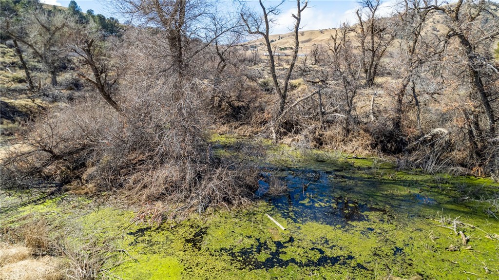 1 Cameron Canyon Road Tehachapi, CA 93501 - Photo 11 of 26 a view of a yard with large trees