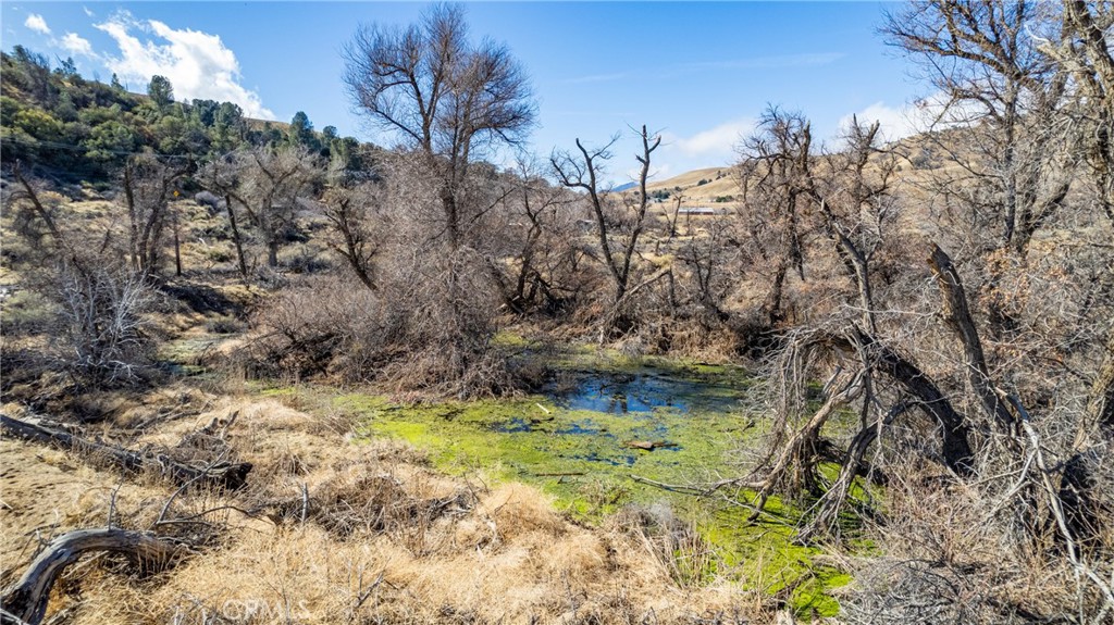 1 Cameron Canyon Road Tehachapi, CA 93501 - Photo 10 of 26 a backyard of a house with lots of green space