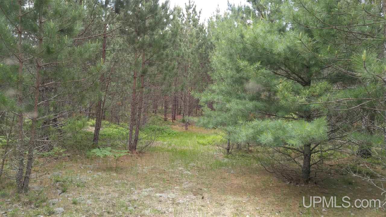 13.44-acres Stutts Road Manistique, MI 49854 - Photo 7 of 19