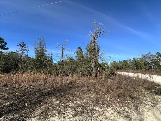 $11,200 | Tbd Northeast 117th Terrace, Williston, FL 32696