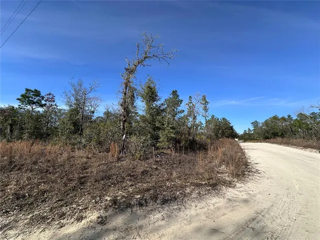 $11,200 | Tbd Northeast 117th Terrace, Williston, FL 32696