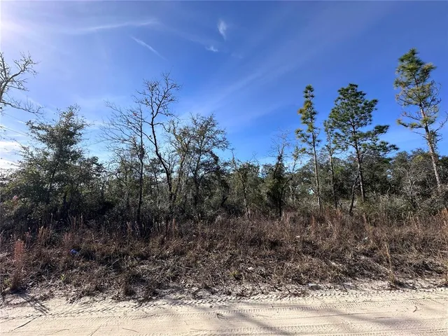 $11,200 | Tbd Northeast 117th Terrace, Williston, FL 32696