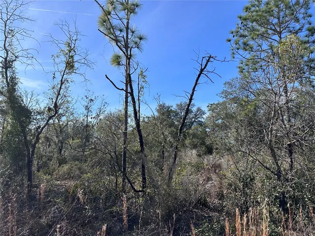 $11,200 | Tbd Northeast 117th Terrace, Williston, FL 32696