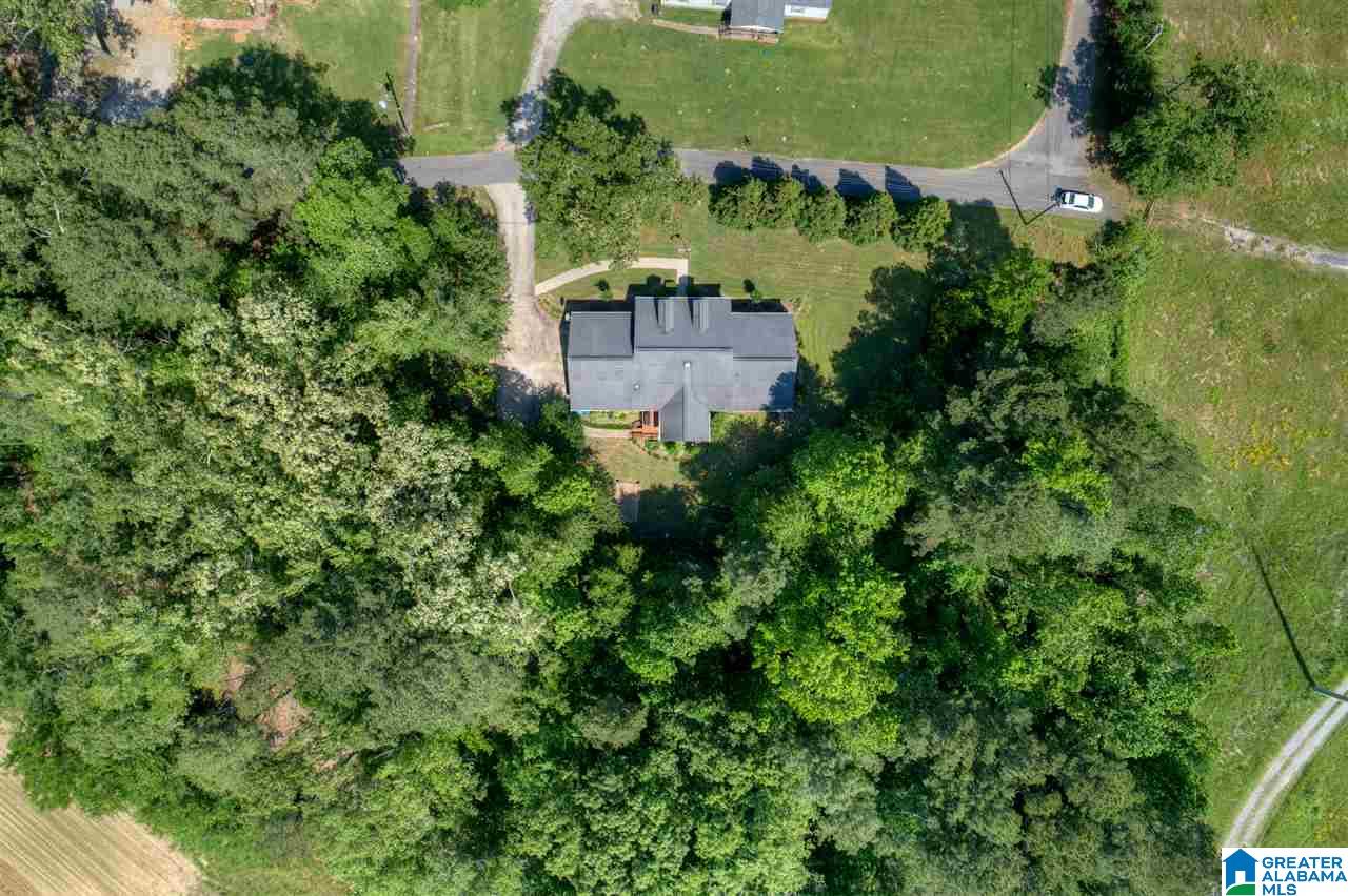 631 Dana Road Warrior, AL 35180 - Photo 35 of 41