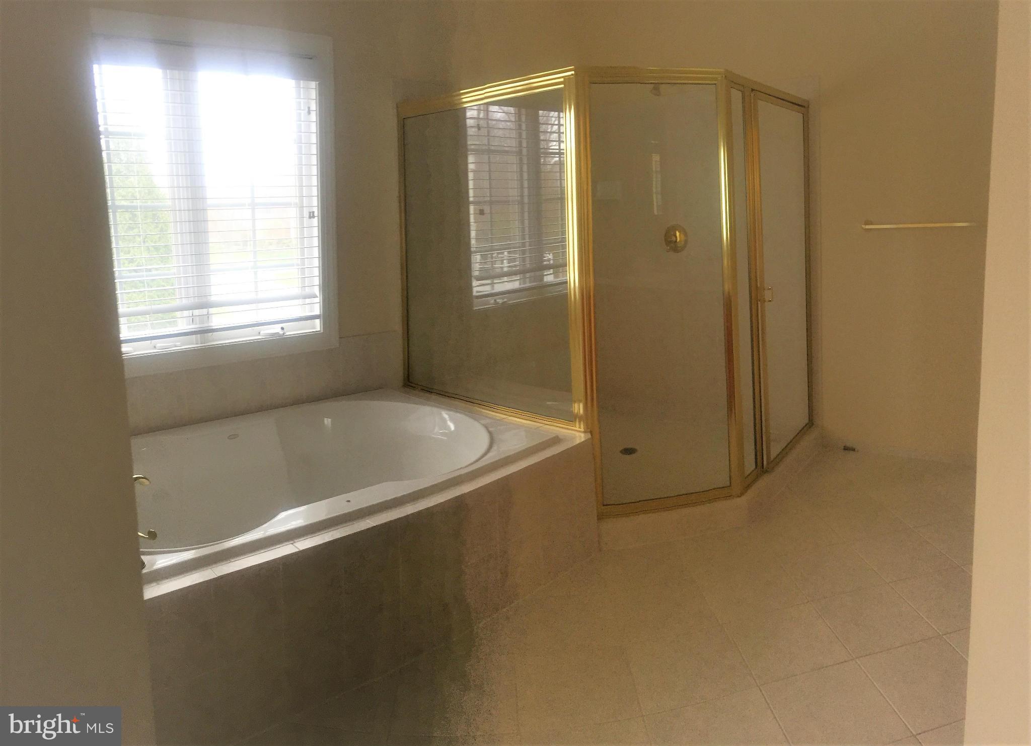 43279 Fieldsview Court Leesburg, VA 20176 - Photo 19 of 29 Bath (Master)