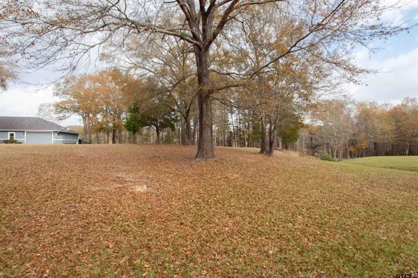 a view of outdoor space with yard