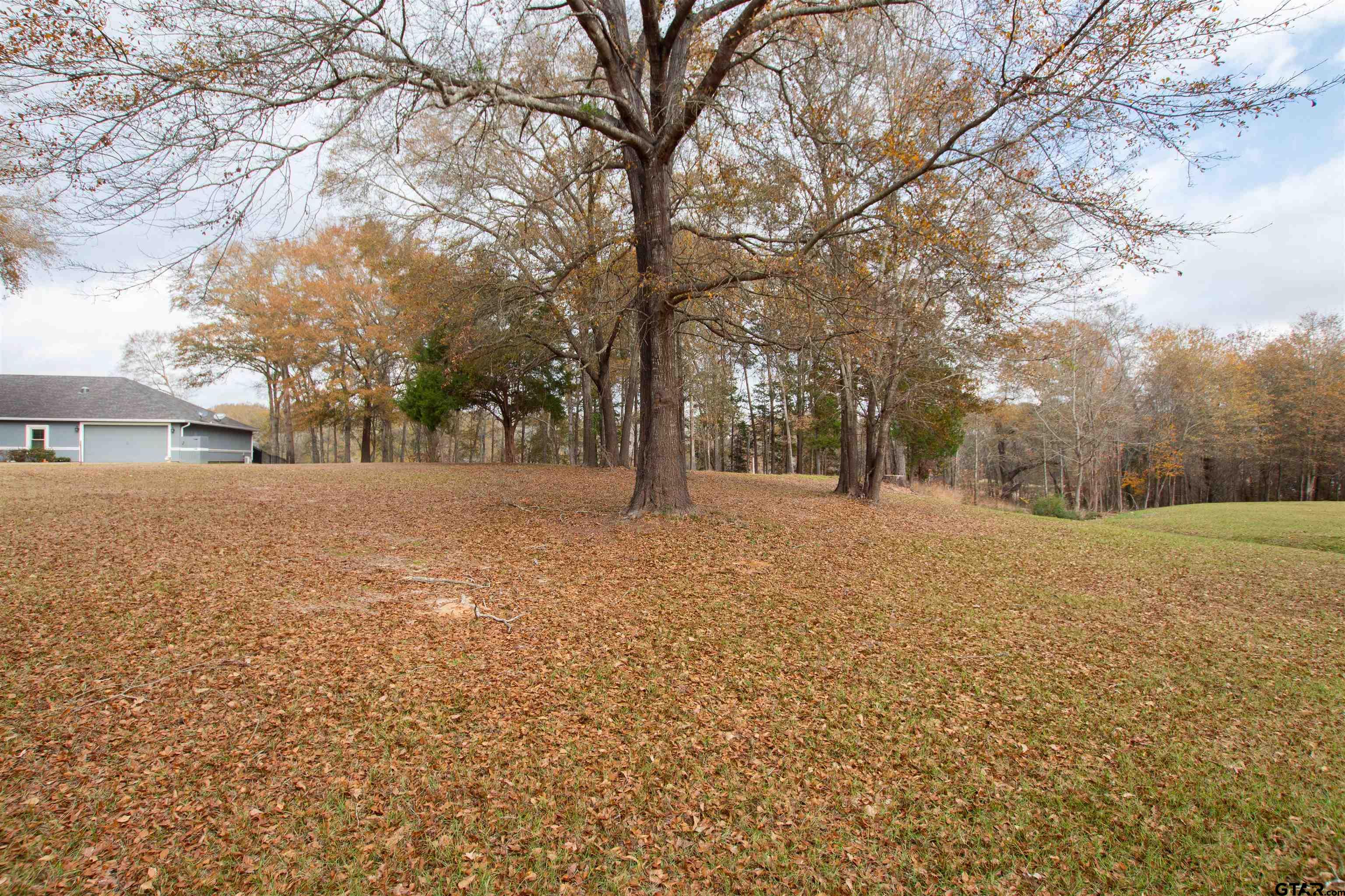 17931 Gordons Landing Road Arp, TX 75750 - Photo 2 of 5 a view of outdoor space with yard