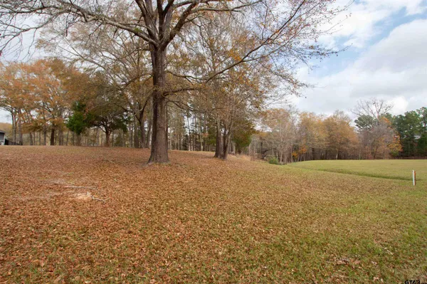 a view of outdoor space with trees