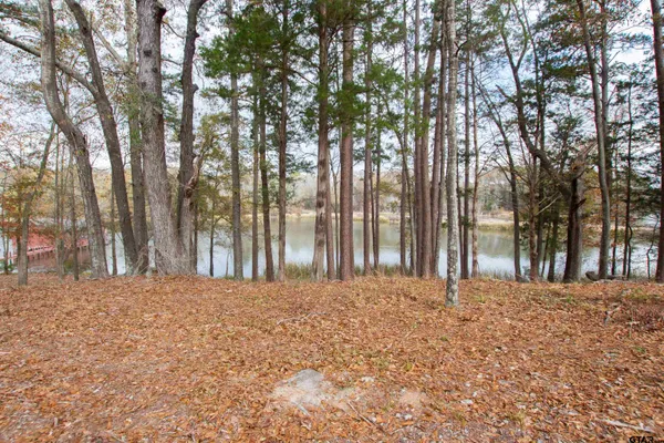 a view of large trees with a yard