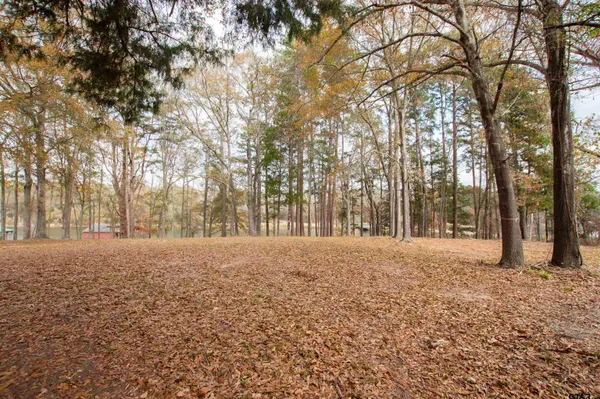 a view of dirt yard with a large trees