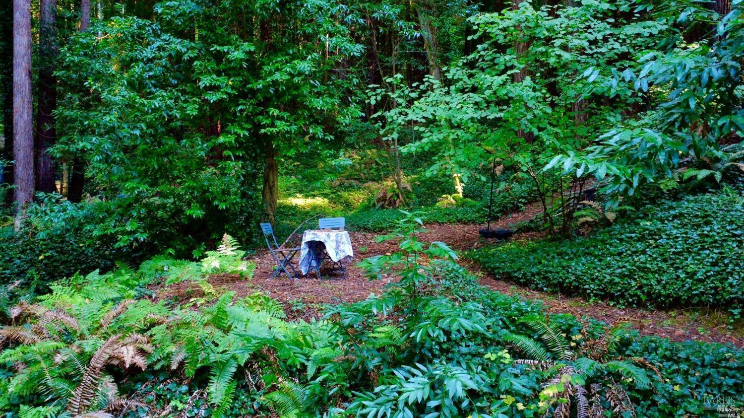 a view of a backyard with plants and garden