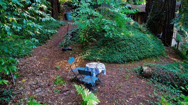a wooden bench sitting in the middle of garden