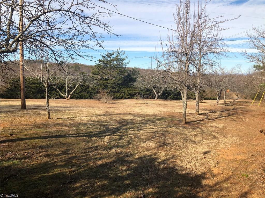 2290 Simmons Road Westfield, NC 27053 - Photo 12 of 26 lots of fruit trees
