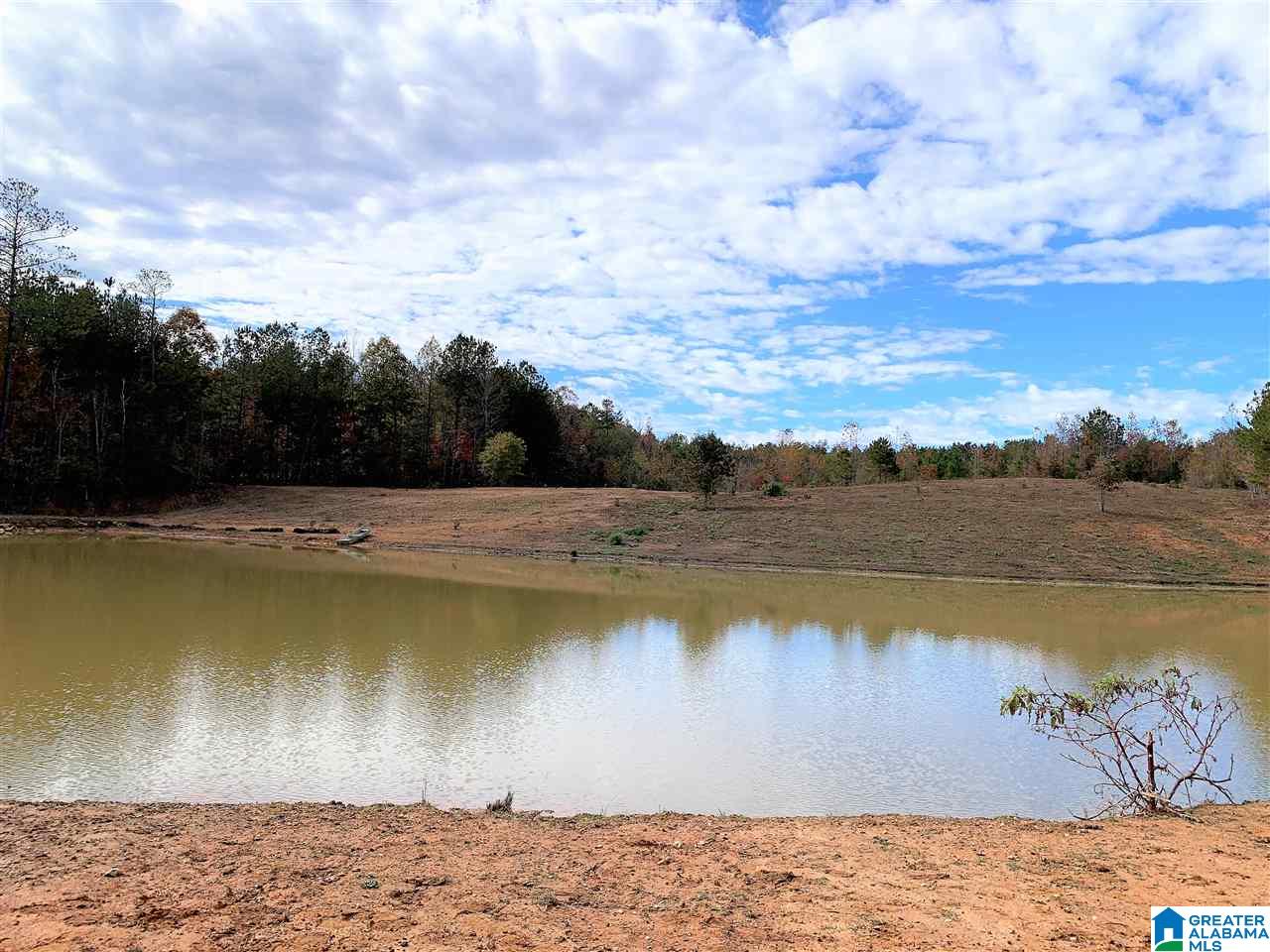 345 County Road 247 Fruithurst, AL 36262 - Photo 2 of 26