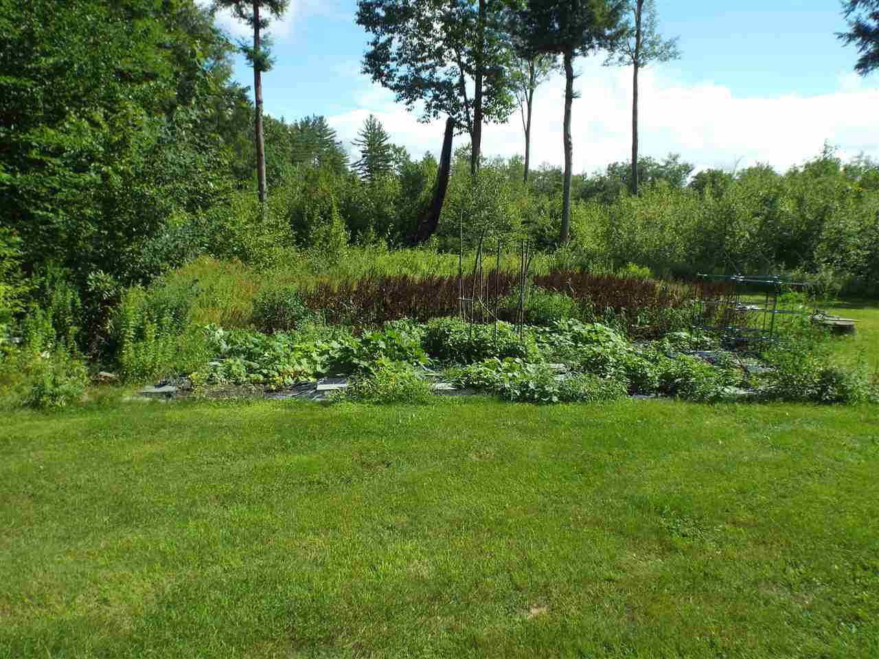 57 Turnpike Road Campton, NH 03223 - Photo 12 of 29