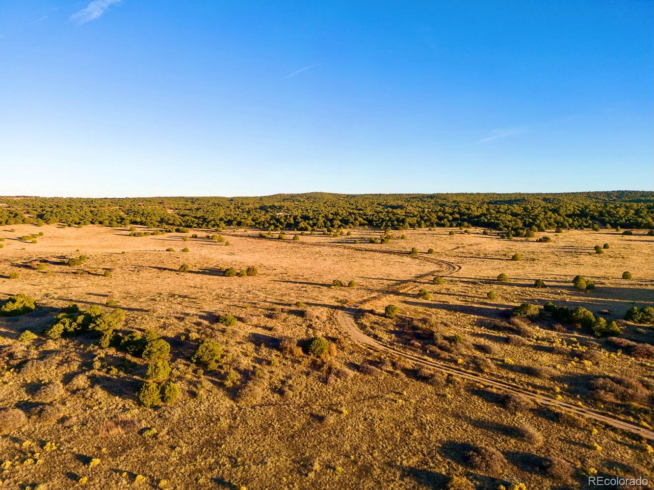 521 County Road Walsenburg, CO 81089 - Photo 10 of 17