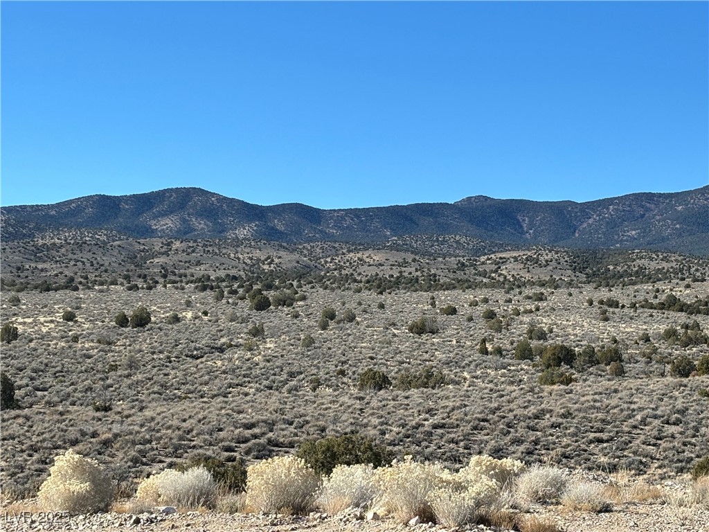 View of mountain backdrop with a desert landscape