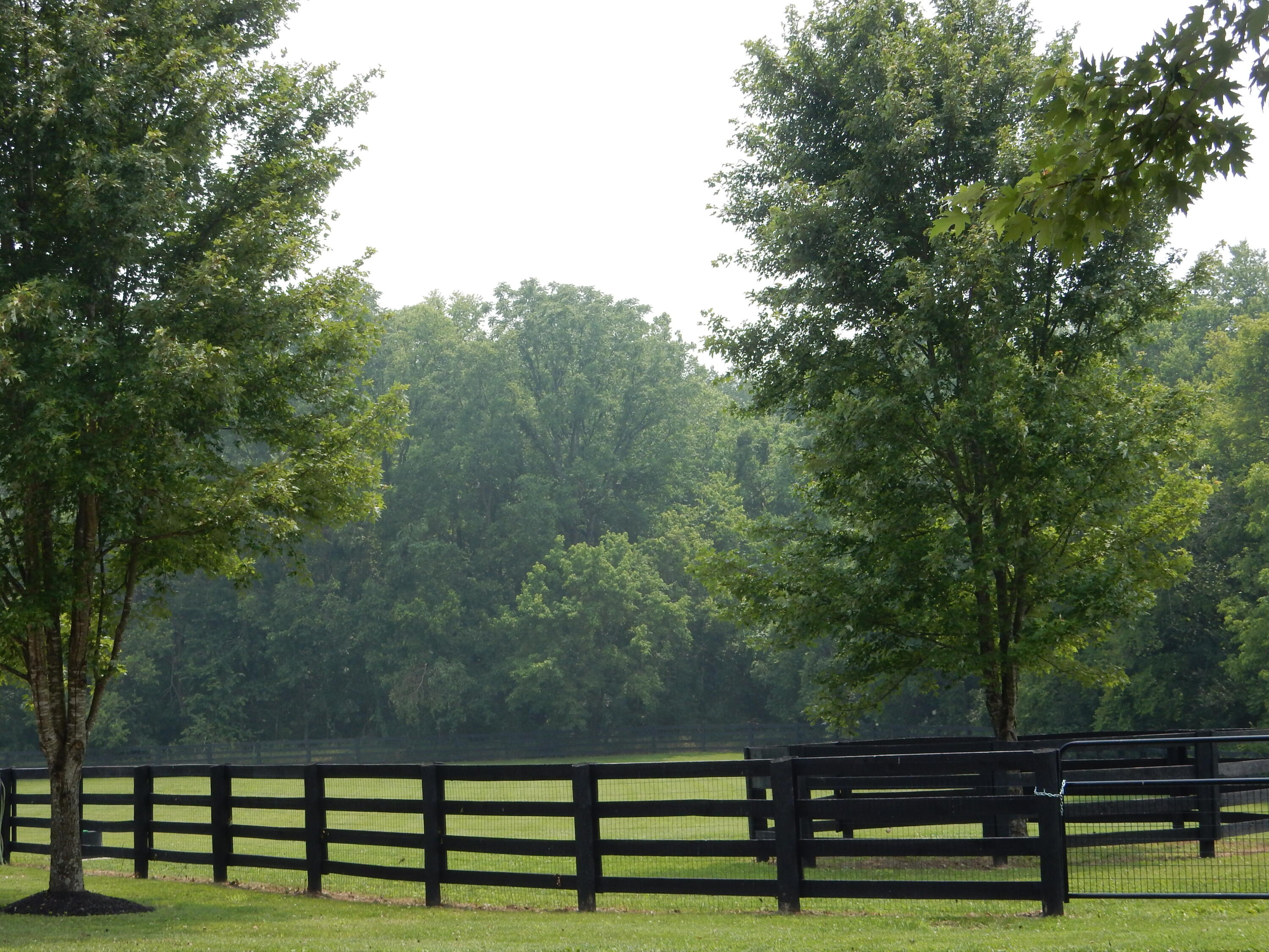 1370 Beaumont Road Nicholasville, KY 40356 - Photo 77 of 79 1370 Beaumont Road