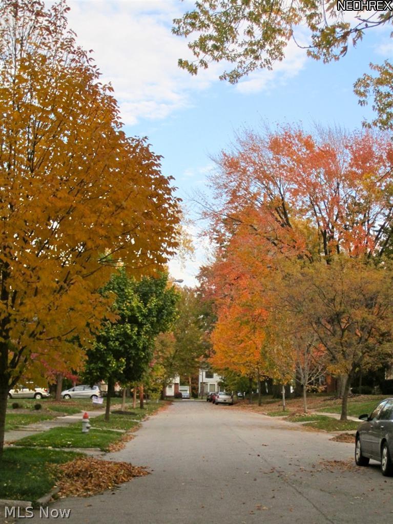 3509 Boynton Road Cleveland Heights, OH 44121 - Photo 20 of 21 Fall view of this lovely neighborhood street.