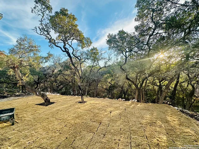 a park view with a tree
