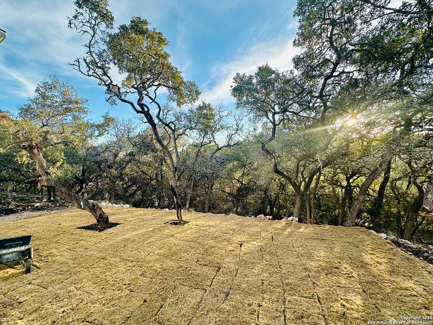 1064 Overbrook Lane Spring Branch, TX 78070 - Photo 30 of 34 a park view with a tree