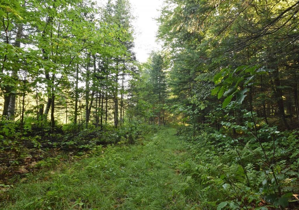 0 Back Parkman Road Abbot, ME 04406 - Photo 16 of 17 Trail near Kingsbury Stream
