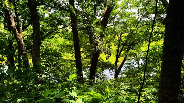 $527,700 | 6187 Bayou Trail, Saugatuck, MI 49453