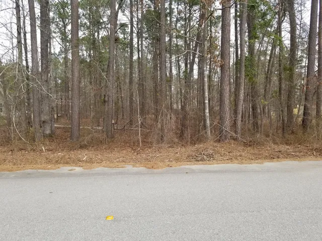 $25,000 | 0 Sorin Circle, Elloree, SC 29047