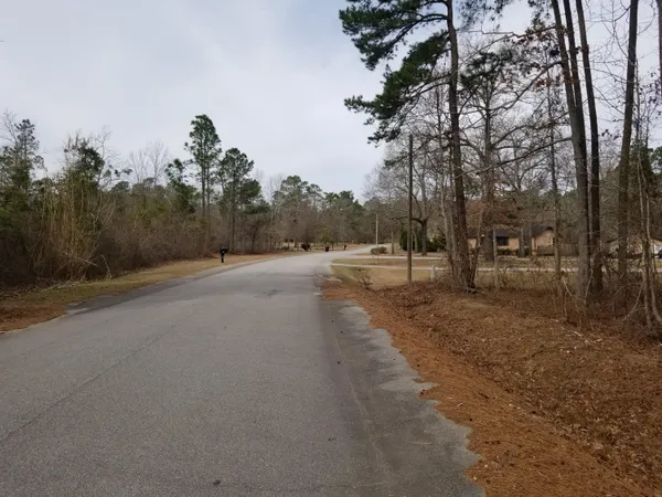 $25,000 | 0 Sorin Circle, Elloree, SC 29047
