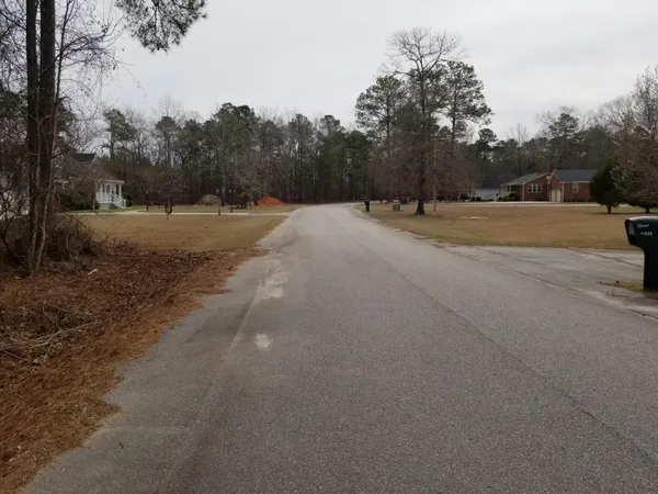 $25,000 | 0 Sorin Circle, Elloree, SC 29047