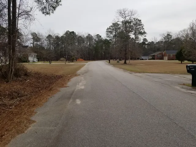 $25,000 | 0 Sorin Circle, Elloree, SC 29047